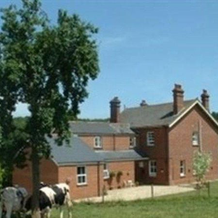 Mill Farm Villa Exeter Exteriör bild