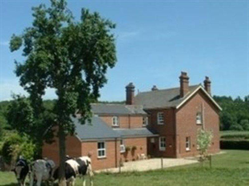 Mill Farm Villa Exeter Exteriör bild